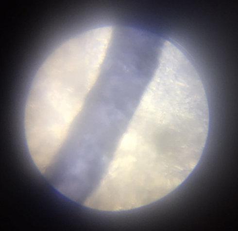 顯微鏡下鍮石材質(zhì)錢的金屬成分